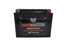 Load image into Gallery viewer, Twin Power YTX-20HL High Performance Battery Replaces H-D 65989-97A Made in USA 310 CCA