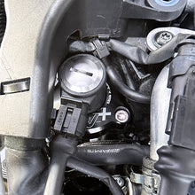 Load image into Gallery viewer, Photo - Mounted