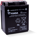 Yuasa YTX14AH-BS High Performance AGM 12-Volt Battery w/Bottle