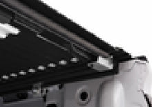 Load image into Gallery viewer, Photo - Mounted