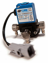 Load image into Gallery viewer, Photo - Primary