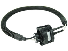 Load image into Gallery viewer, Photo - Unmounted