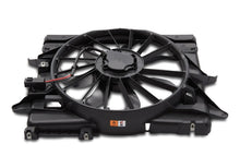 Load image into Gallery viewer, Photo - Unmounted