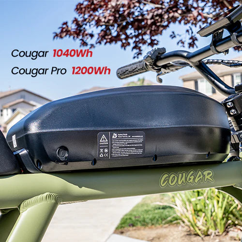 Cougar PRO Vintage Electric Ebike 750W with 60V 20AH 80 Miles Range Hydraulic Disc Brake Full Suspension