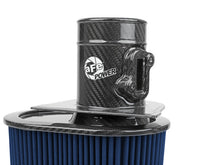 Load image into Gallery viewer, Photo - Close Up