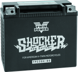 Twin Power YTX-20H Shocker Battery Replaces H-D 65991-82B 310 CCA