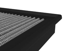 Load image into Gallery viewer, Photo - Close Up