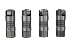 Load image into Gallery viewer, Photo - Unmounted