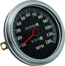 Load image into Gallery viewer, Photo - Primary