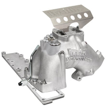 Load image into Gallery viewer, Photo - Primary