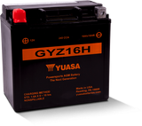 Yuasa GYZ16H High Performance Maintenance Free AGM 12-Volt Battery