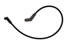 Load image into Gallery viewer, Photo - Unmounted