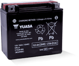 Yuasa YTX20-BS Maintenance Free AGM 12-Volt Battery w/Bottle