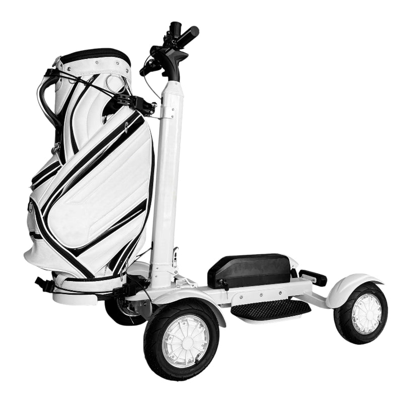 electric golf scooter​