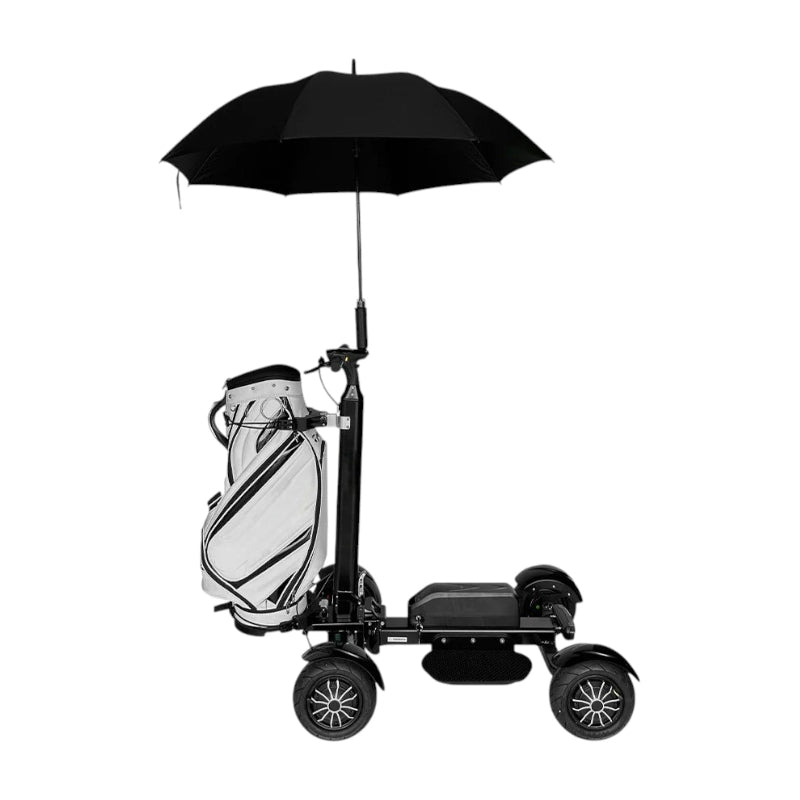 electric golf scooter​