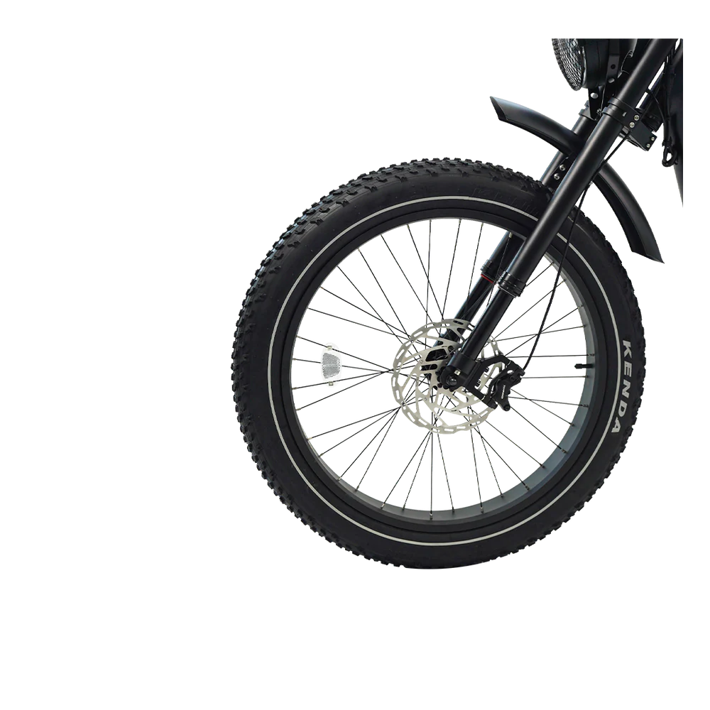 Cheetah Pro Aluminum Alloy E Bike Dual 30AH Lithium Batteries Retro Vintage Style Disc Brake Fat Tire Vintage Electric Bike