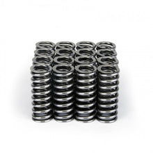 Load image into Gallery viewer, Skunk2 Alpha Series Honda D Series VTEC Valve Spring Set