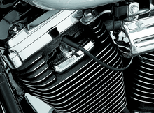 Load image into Gallery viewer, Kuryakyn Spark Plug &amp; Head Bolt Covers Evolution Motors &amp; 86-03 XL Models