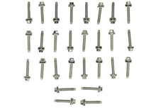 Load image into Gallery viewer, Photo - Unmounted