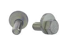 Load image into Gallery viewer, Photo - Unmounted