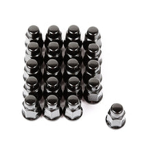 Load image into Gallery viewer, Rugged Ridge Wheel Lug Nut Set of 20 Black 1/2-20