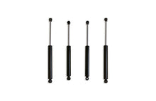 Load image into Gallery viewer, User 1