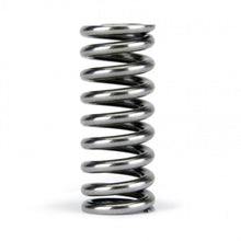 Load image into Gallery viewer, Skunk2 Alpha Series Honda D Series VTEC Valve Spring Set