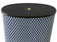 Load image into Gallery viewer, Photo - Unmounted