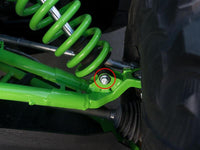 Photo - Close Up