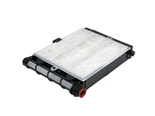 Load image into Gallery viewer, Photo - Close Up