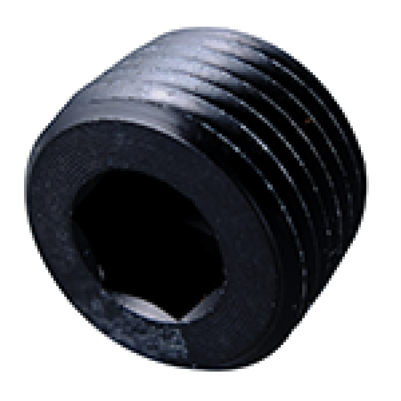 Fragola 1/4 NPT Pipe Plug- Internal Black