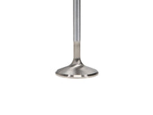 Load image into Gallery viewer, User 3