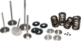 Ferrea 15-24 BMW S58 Single Spring Kit