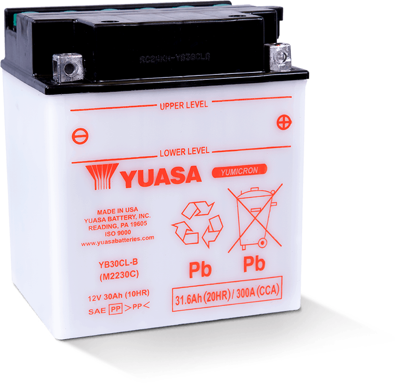 Yuasa YB30CL-B Yumicron CX 12-Volt Battery