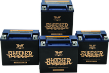 Load image into Gallery viewer, Twin Power YTX-14L Shocker Gel Battery Replaces H-D 65958-04 220 CCA