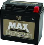 Twin Power GYZ-16HL Premium MAX Battery Replaces H-D 65958-04 Made in USA 240 CCA