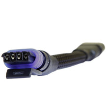 Load image into Gallery viewer, Photo - Primary