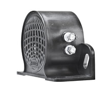 Load image into Gallery viewer, Photo - Close Up