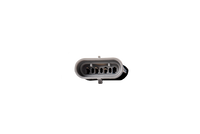 User 2