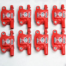 Load image into Gallery viewer, Photo - Primary