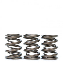 Load image into Gallery viewer, Skunk2 Tuner Series Honda/Acura (B16A/ B17A/ B18C) DOHC VTEC Alpha Valve Spring Set (Dual Springs)